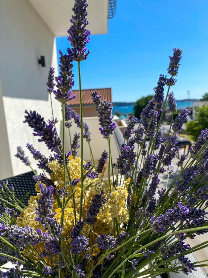 Apartments Dalmatino Водице Экстерьер фото